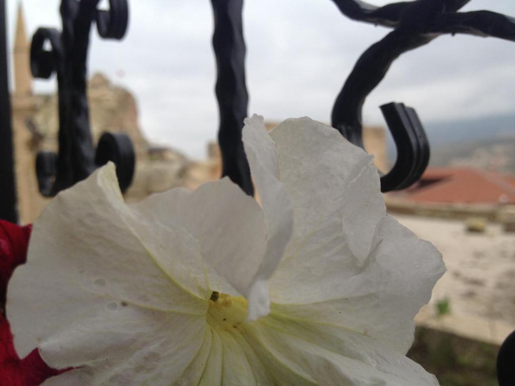 Dar Konak Pansiyon Ürgüp Camera foto
